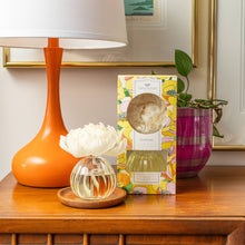 Load image into Gallery viewer, New! Sunbeam Flower Diffuser
