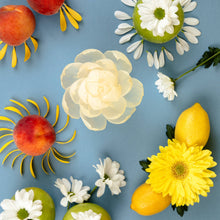 Load image into Gallery viewer, New! Sunbeam Flower Diffuser