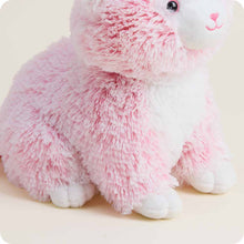 Load image into Gallery viewer, Pink Kitten Warmies