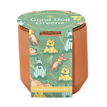 Load image into Gallery viewer, Tiny Terracotta Pet Grow Kits: Curious Catnip