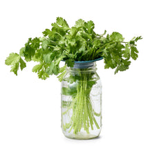 Load image into Gallery viewer, Produce Keepers - Set of 2