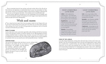 Load image into Gallery viewer, Book Of Astrology (The Mystic Arts Handbooks)