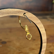 Load image into Gallery viewer, Brass Hoop Earring Pack