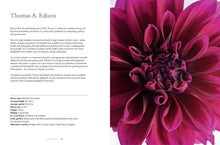 Load image into Gallery viewer, Dahlias; Beautiful Varieties for Home & Garden (hardcover)
