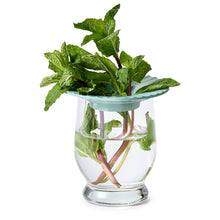 Load image into Gallery viewer, Produce Keepers - Set of 2