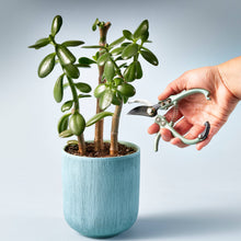 Load image into Gallery viewer, Garden Pruners