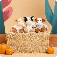 Load image into Gallery viewer, Pumpkin Spice Cow Warmies Viral PSL Fall Gifts Hallowee