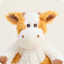 Load image into Gallery viewer, Pumpkin Spice Cow Warmies Viral PSL Fall Gifts Hallowee