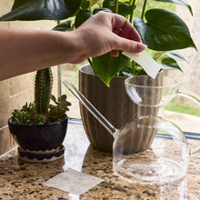 Load image into Gallery viewer, Dissolving Plant Food Sheets
