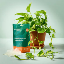Load image into Gallery viewer, Dissolving Plant Food Sheets
